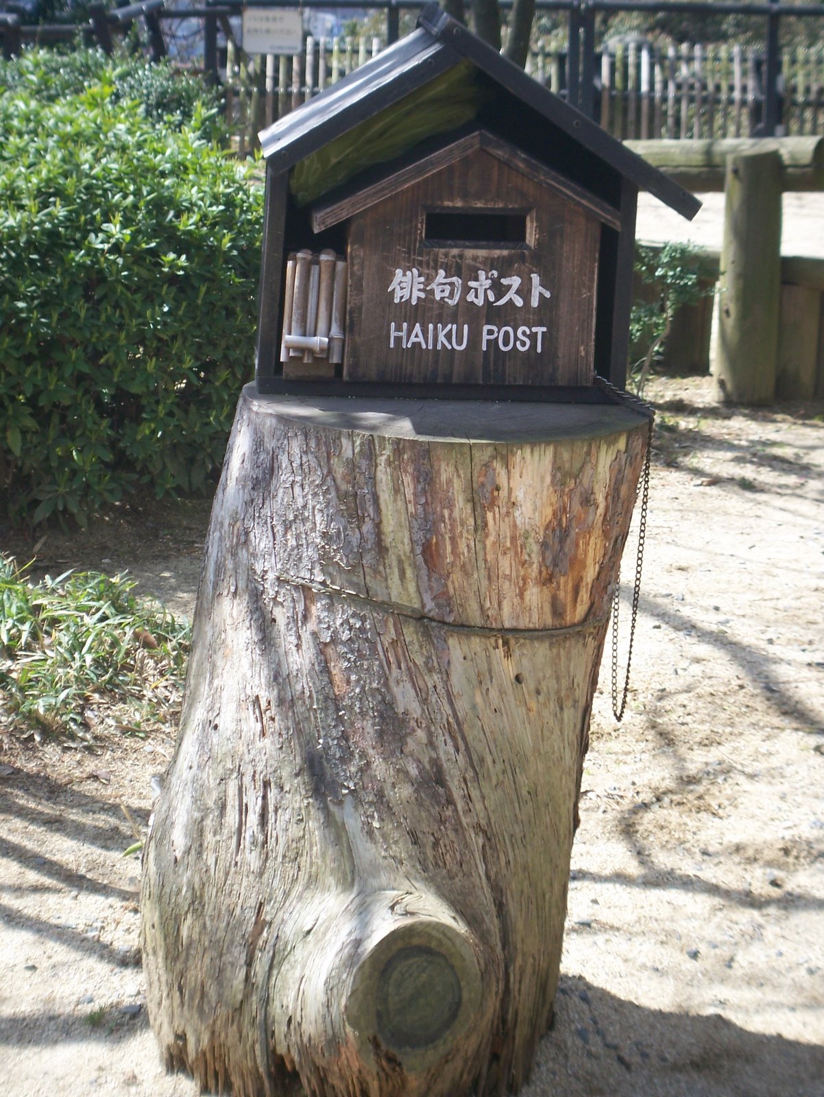 [100_1066.JPG]