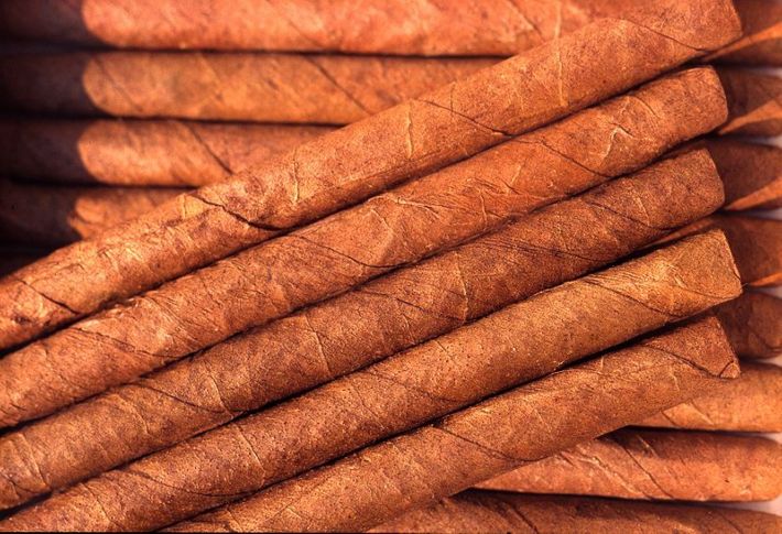 [cigarillo.jpg]