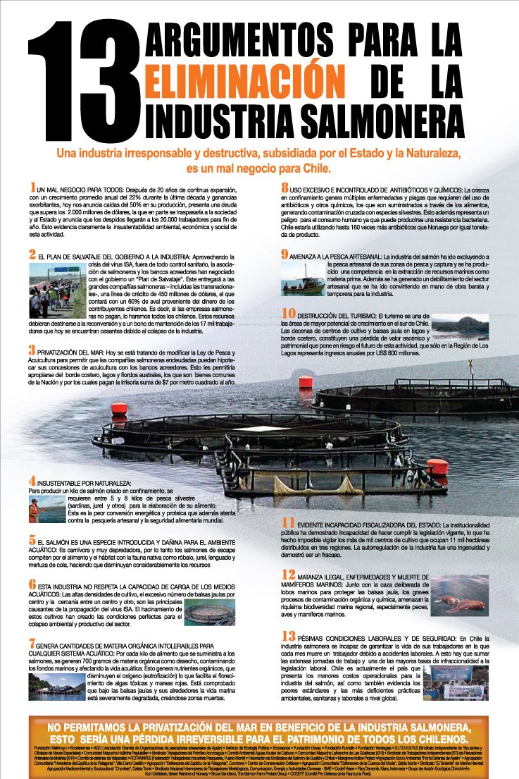 [PROCESO-SALMONERAS11_web.jpg]