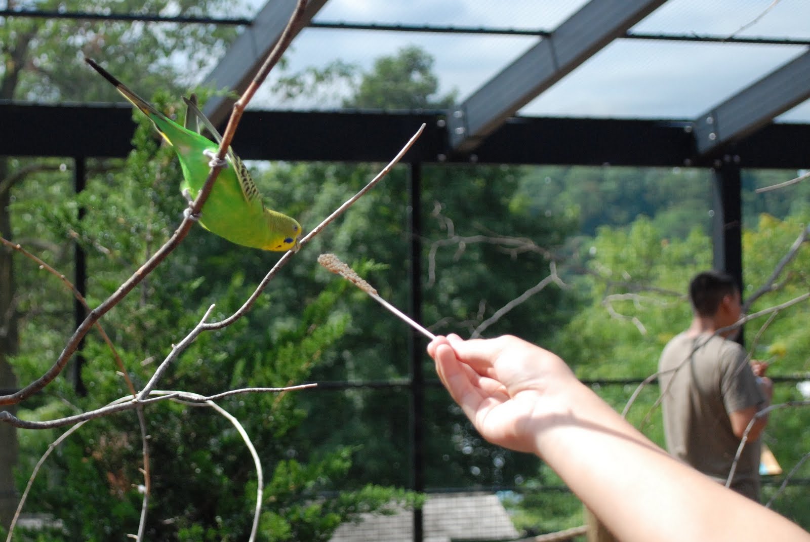 Margaret Montet Turtle Back Zoo