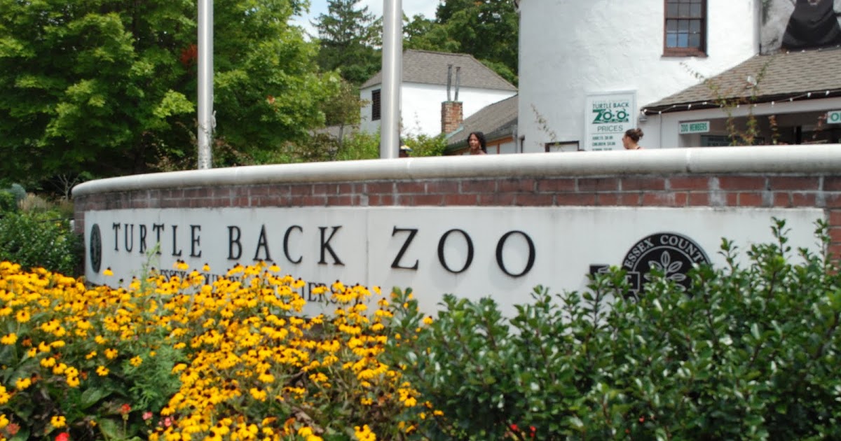 Margaret Montet Turtle Back Zoo