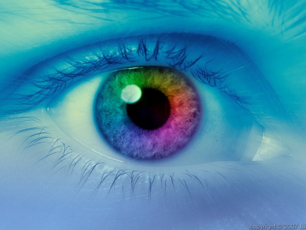 http://3.bp.blogspot.com/_UMxHrJN54AM/TJ3QAPQKycI/AAAAAAAABJ4/YM7rBCvXNuQ/s1600/wallpaper+ojo+3.jpeg