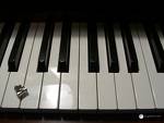 [piano.jpg]