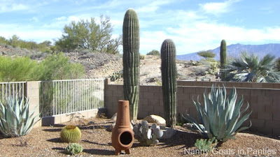 Typical Tucson backyard - no grass