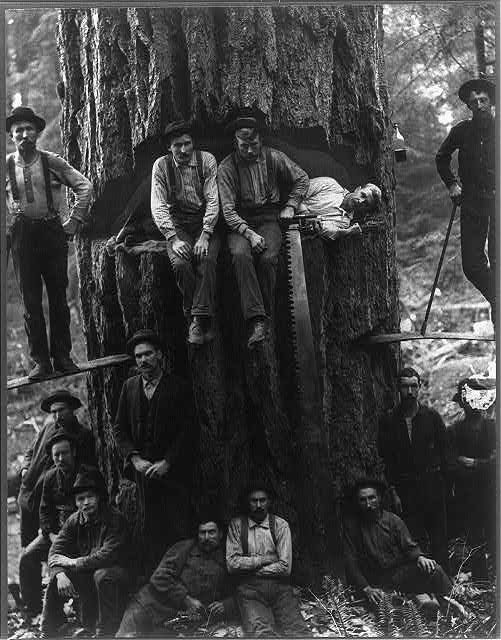 [lumberjack.jpg]