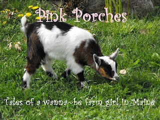 goat eating grass for Pink Porches blog