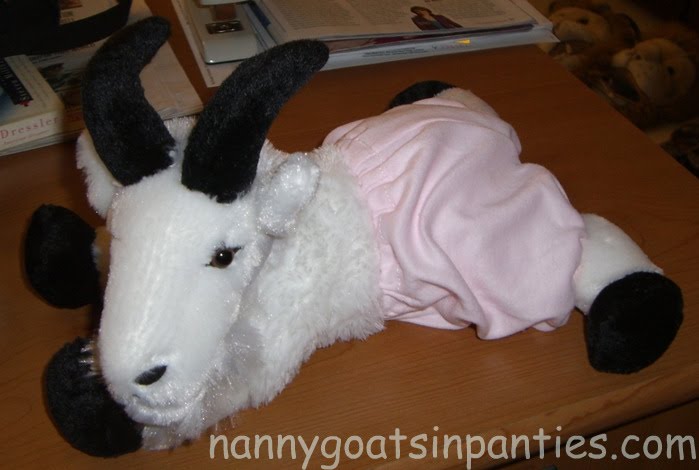 [ngip+mascot+with+caption.jpg]