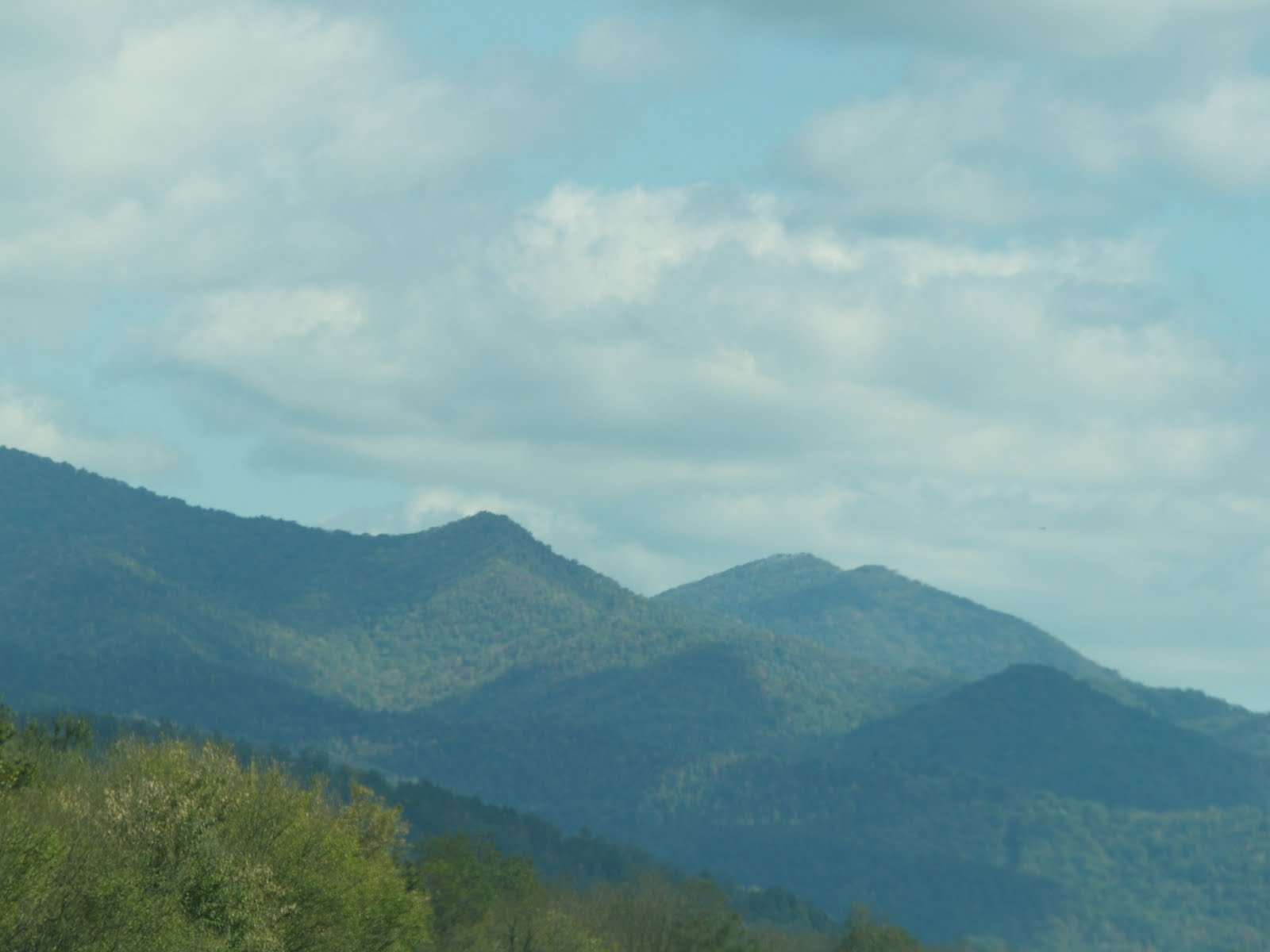 [P1013880.JPG]