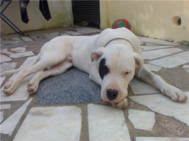 [GetAttachment[4].jpg]