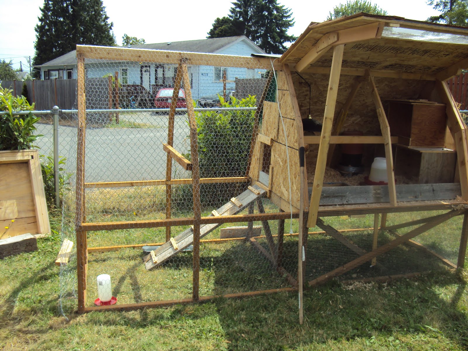 Rats in the Chicken Coop BackYard Chickens Learn How to Raise Chickens