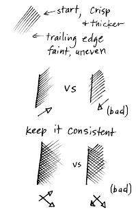 Cross Hatching for Beginners