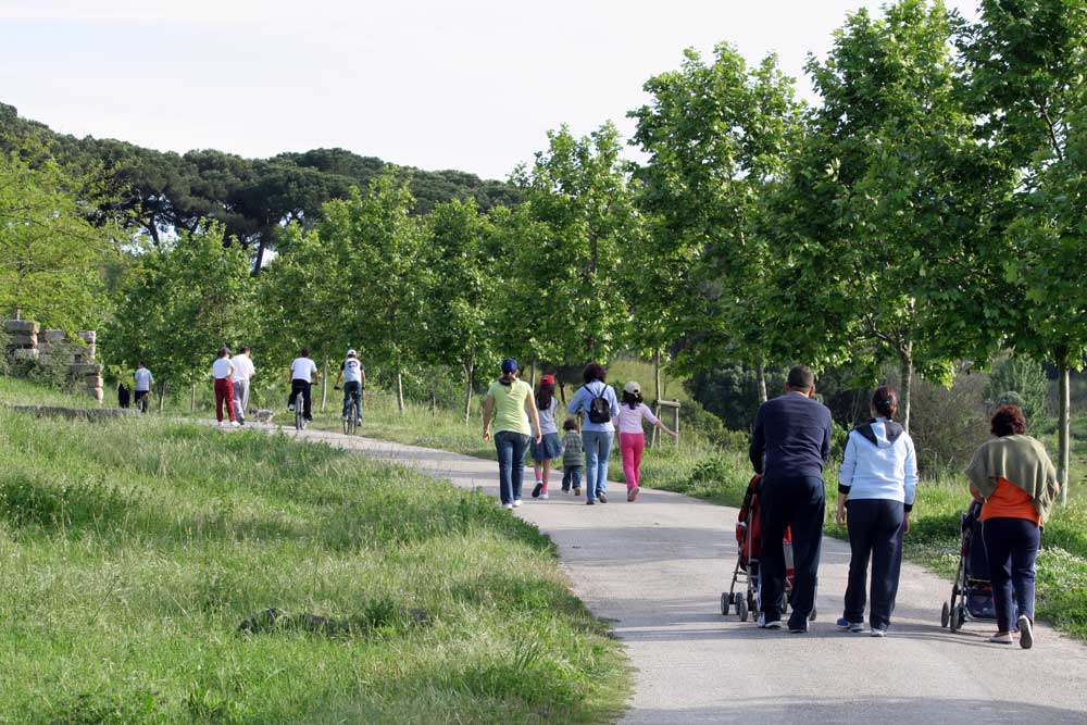 [pp-2.jpg]