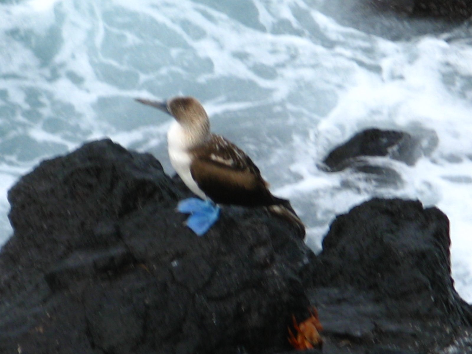[IMG_4363[1]]