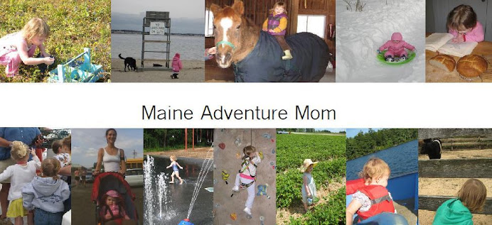 Maine Adventure Mom