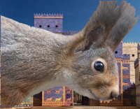 [Squirrel_004_sm.png]