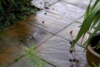 [Dlazba-betonova-Venezia-stone-age-zahrada-na-index.jpg]