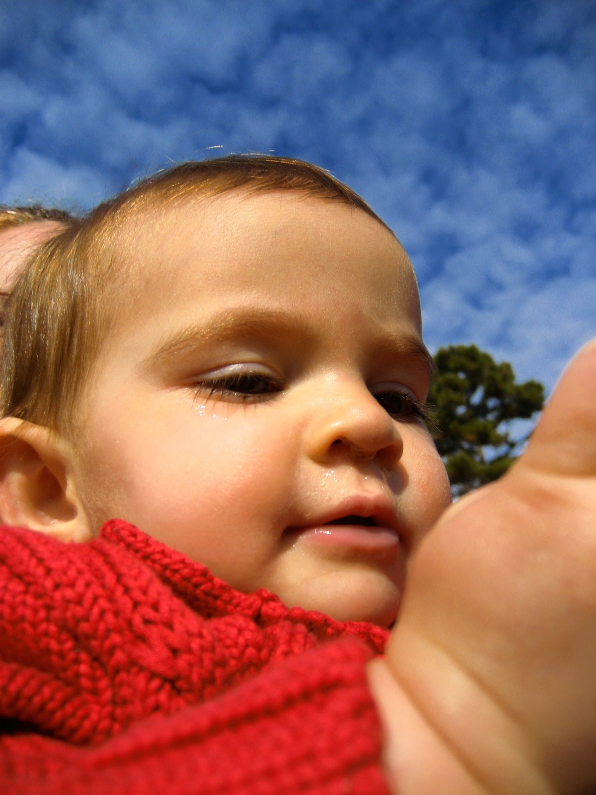 [IMG_4876.JPG]