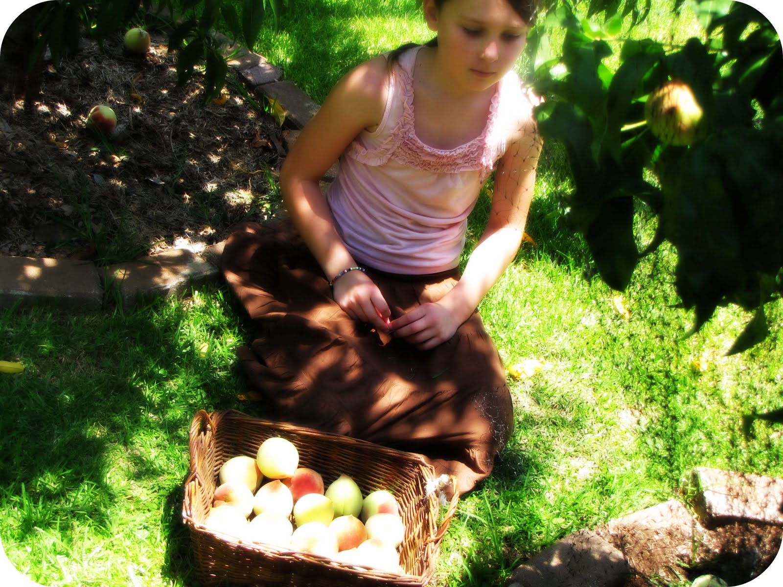 [IMG_3737.JPG]