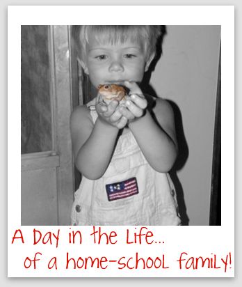 A Day in the Life of a homeschool family
