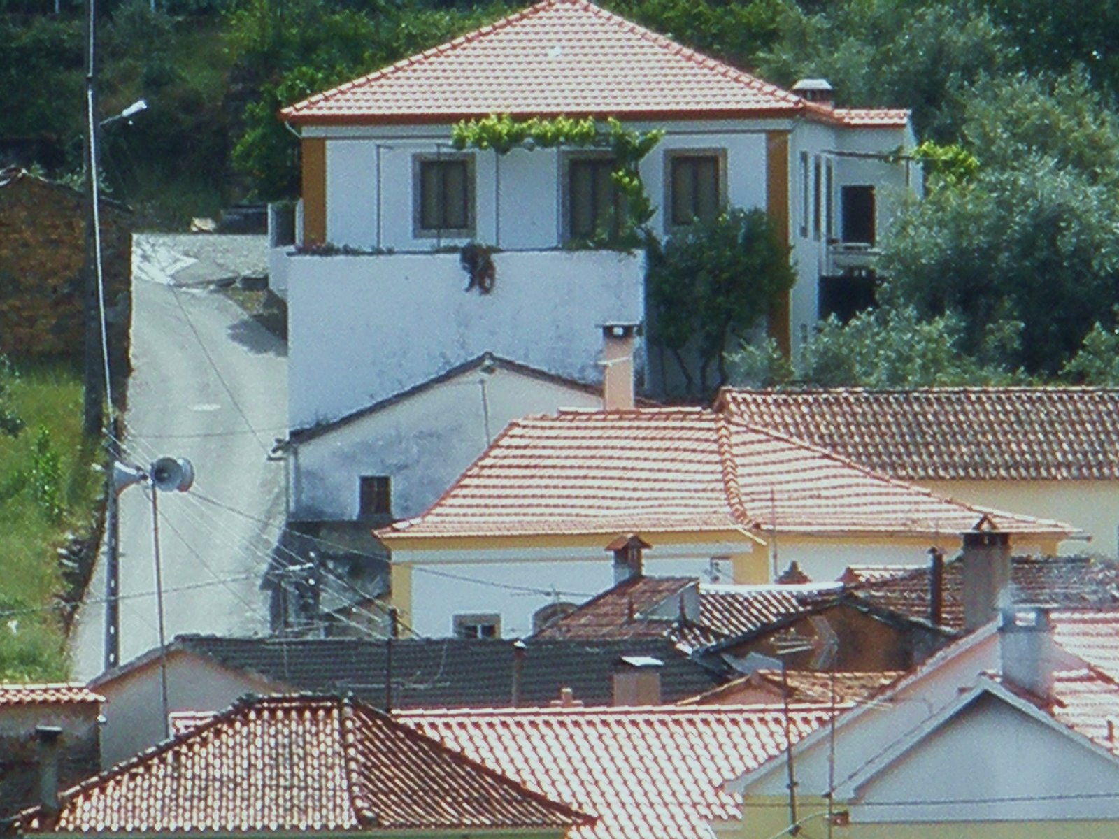 [P5250001.JPG]