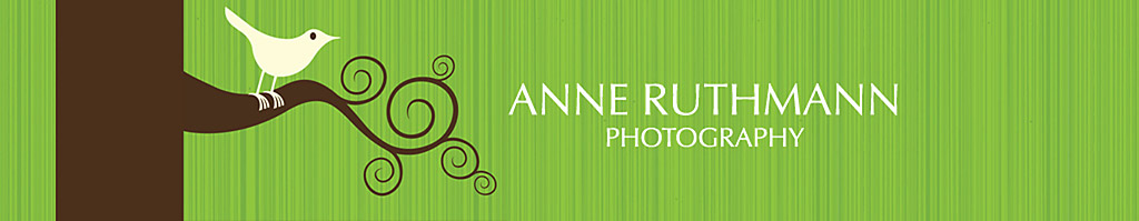 Anne's Blog