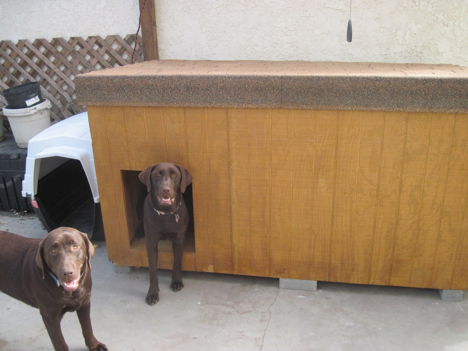 Dog+house+plans+free+online