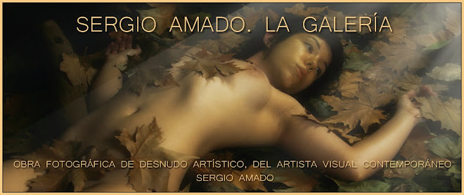Sergio Amado. La galería