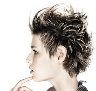 http://hairstyledesign12.blogspot.com/