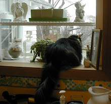Feline Ruler of the Week