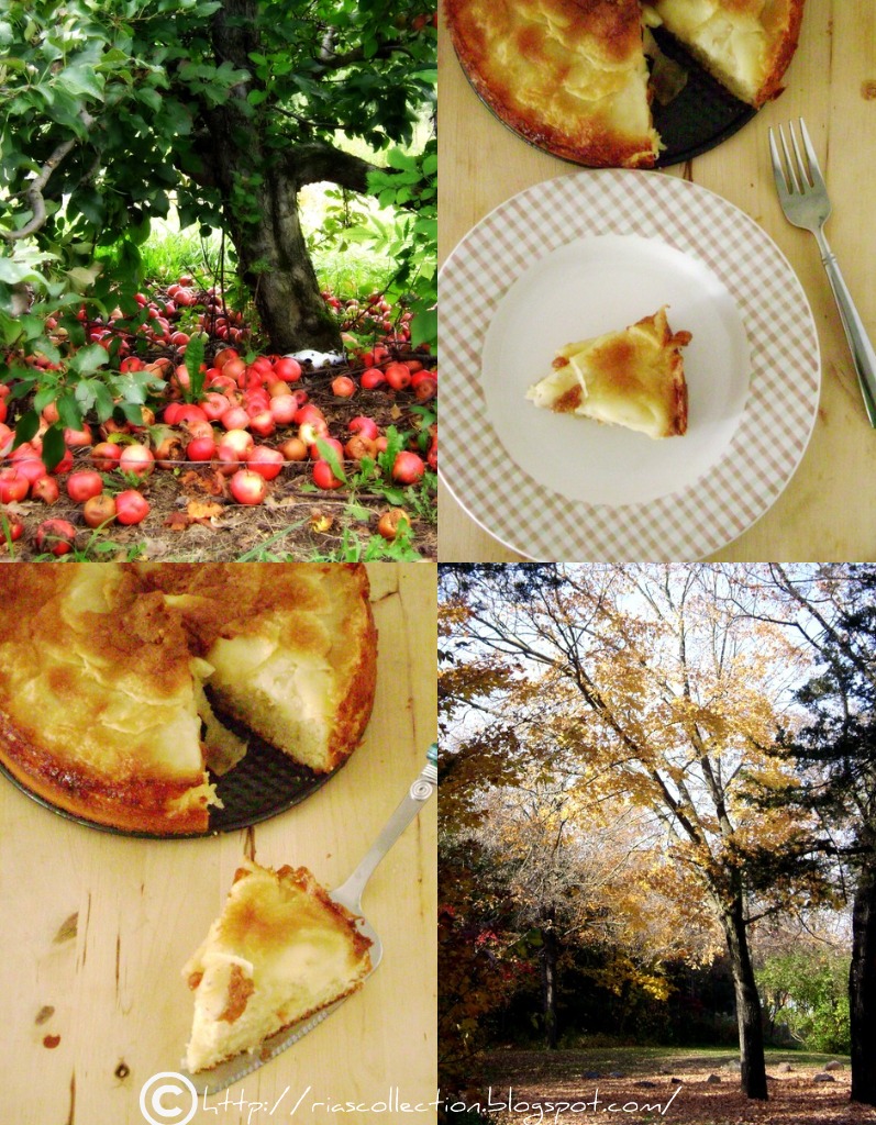 Ria's Collection APPLE & CARDAMOM CAKE