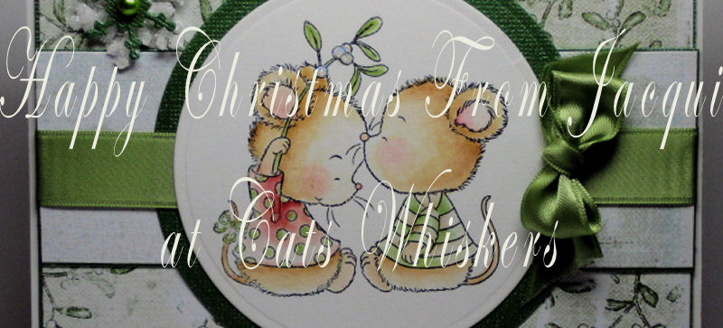 Cats Whiskers