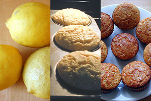 [lemonmuffins.jpg]