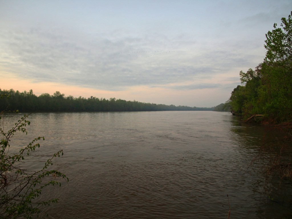 Raining Acorns Sleeping in the Swamp Louisiana's Atchafalaya Basin
