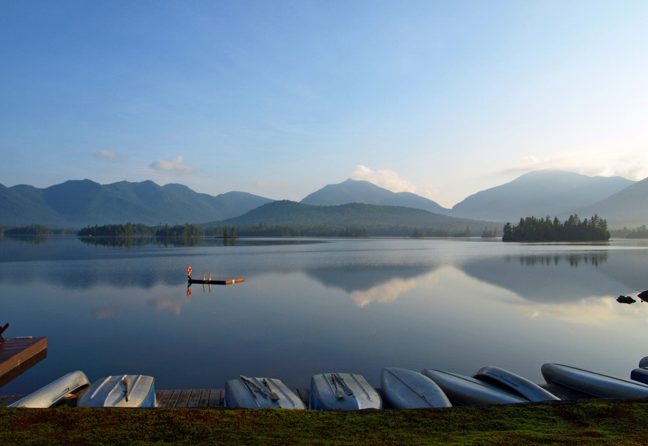 Raining Acorns Another Day in Paradise