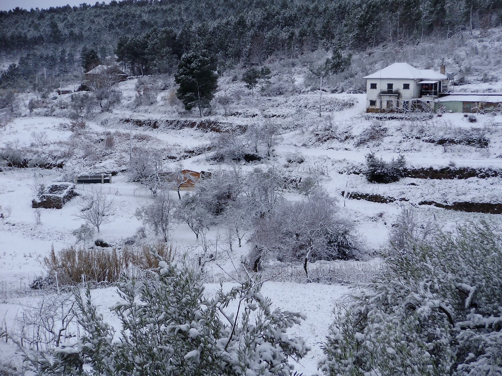 [P1080009.JPG]