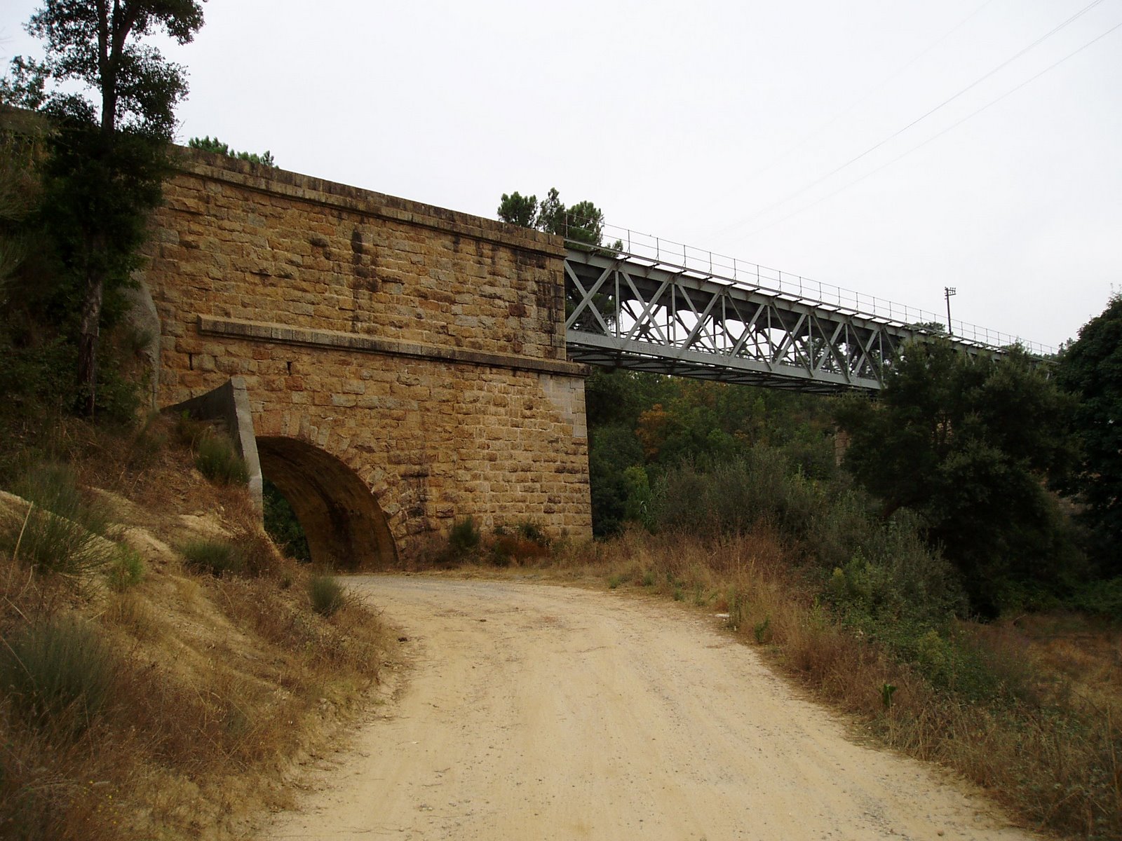 [P1010015.JPG]