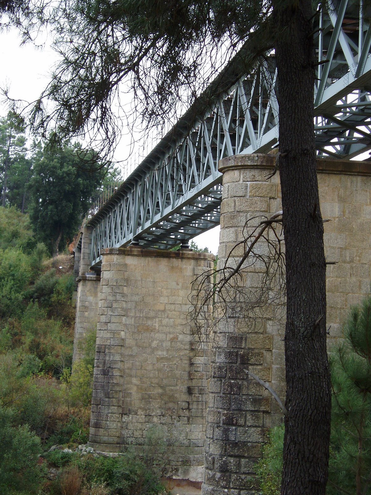 [P1010021.JPG]