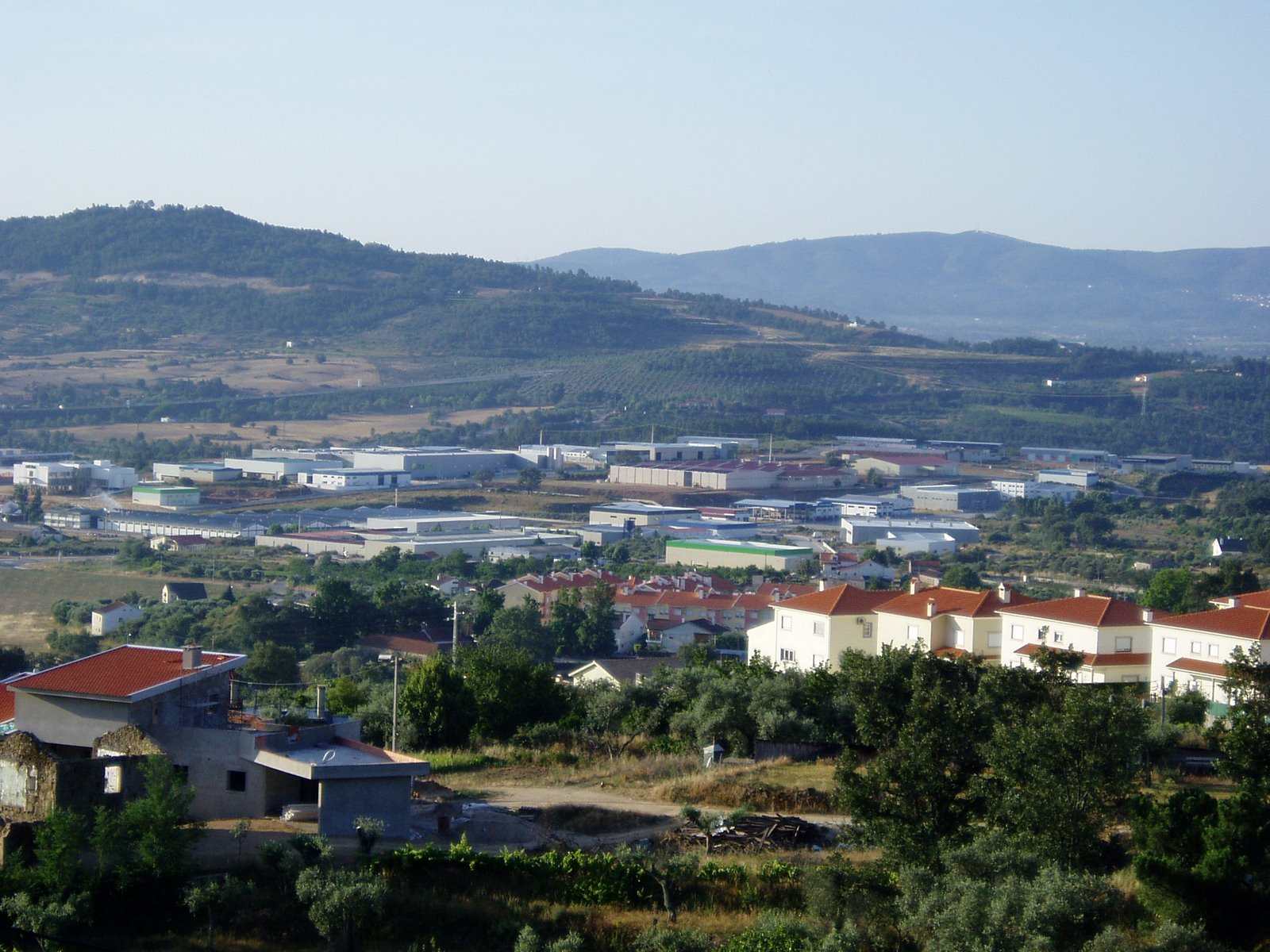 [P1010005-1.JPG]