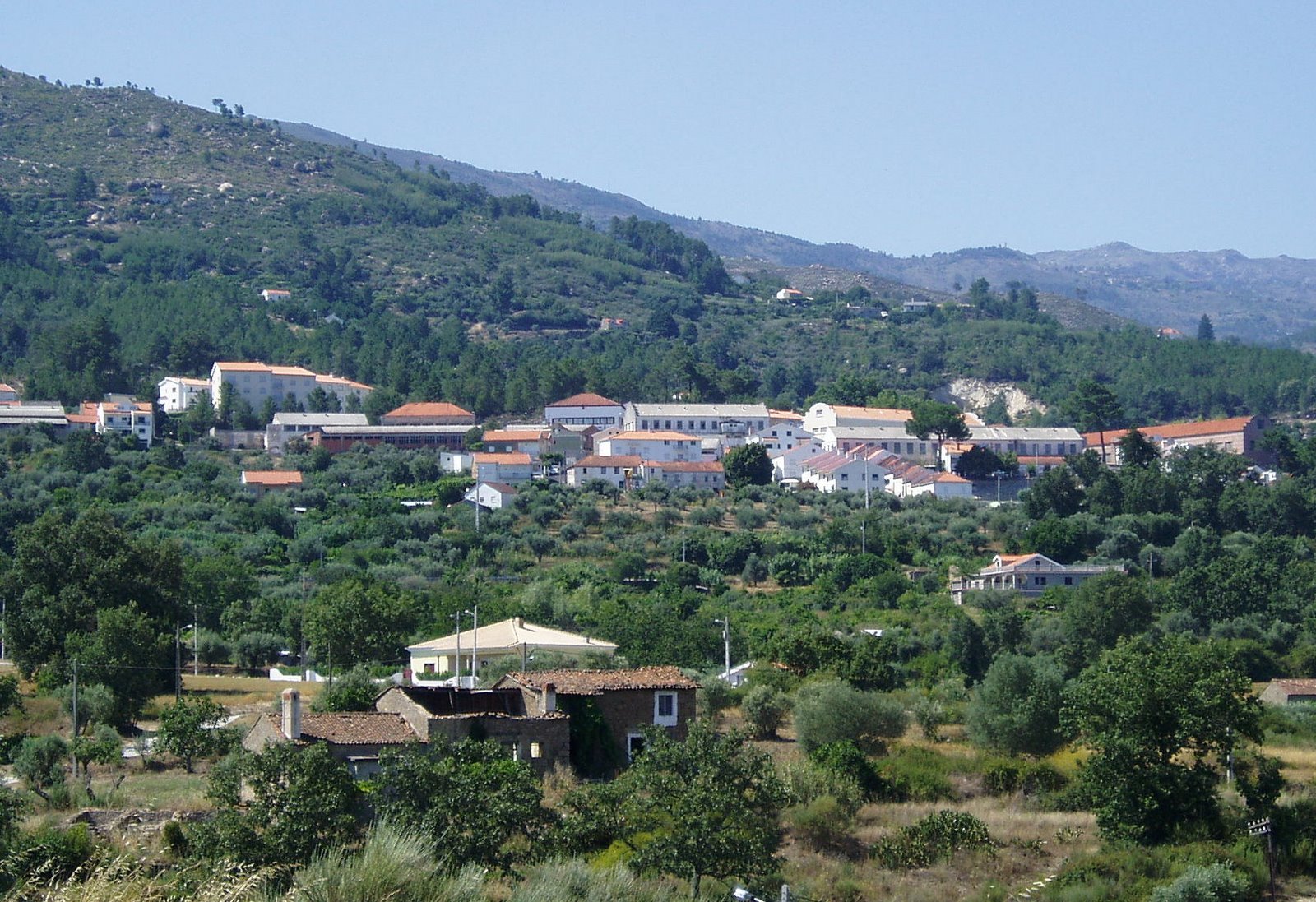 [P1010003-5.JPG]