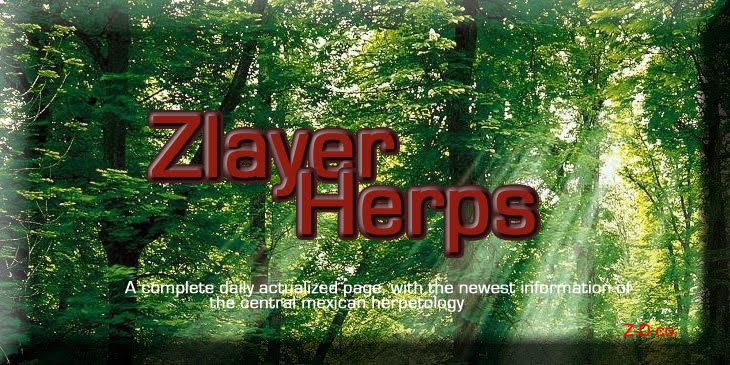 Zlayer Herps