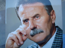 Il provino