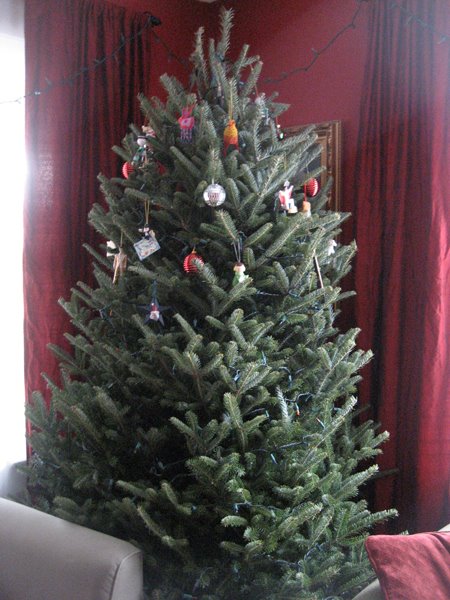 [ChristmasTreeDay.jpg]