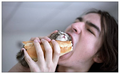 [Image: kitten+sandwich.jpg]