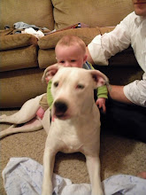 21 weeks old