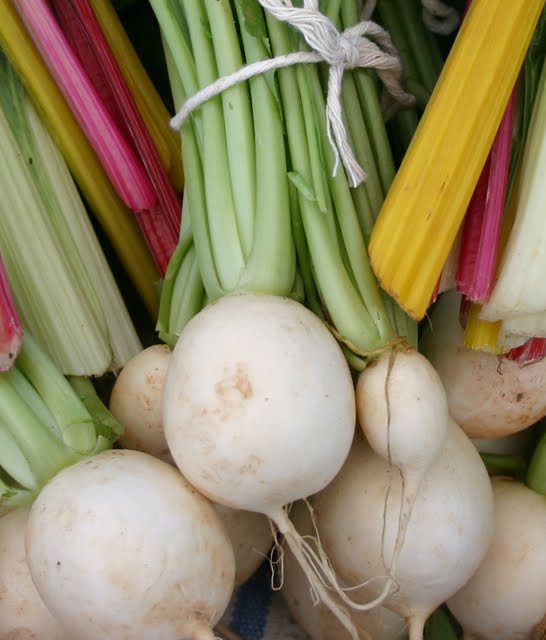 The Funny Farm Hakurei Turnip Royalty