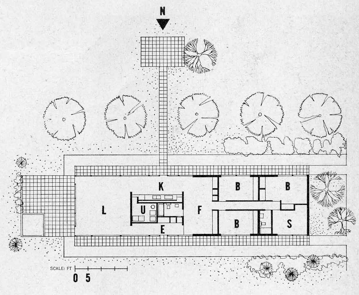 Steel Frame Architecture