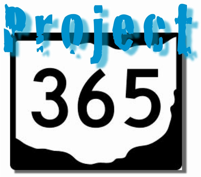 Project 365