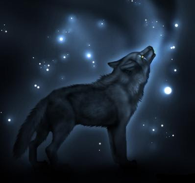 blackwolf0925 Avatar