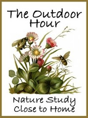 Outdoor Nature Hour