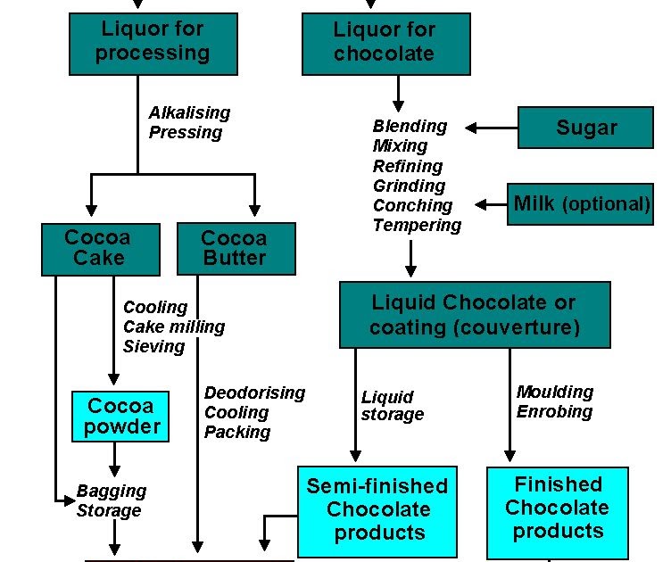CHOCOLATE HOW CHOCOLATE IS MADE